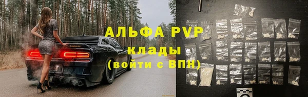 спиды Абаза