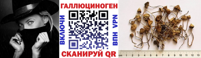 купить   Югорск  Псилоцибиновые грибы мухоморы 